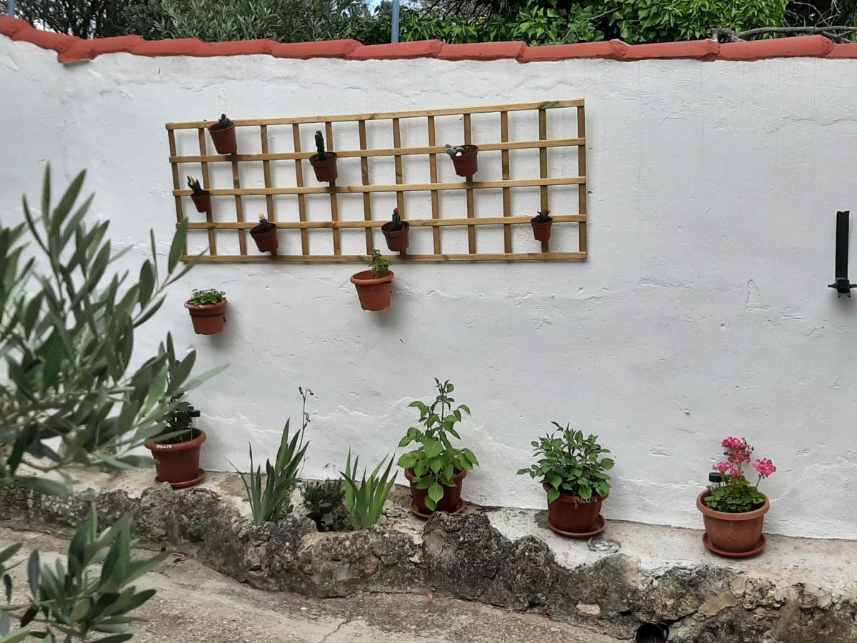 CASA RURAL ECCEHOMO de BORJA Exterior foto